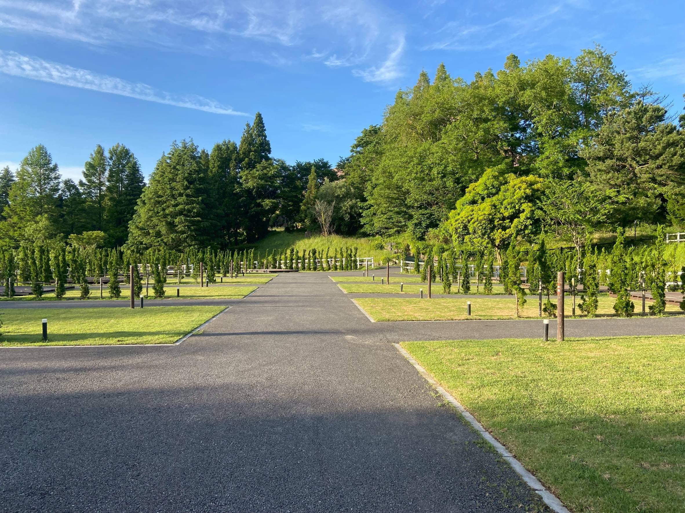 工場の広大な緑地、整然と管理された植栽の全景。