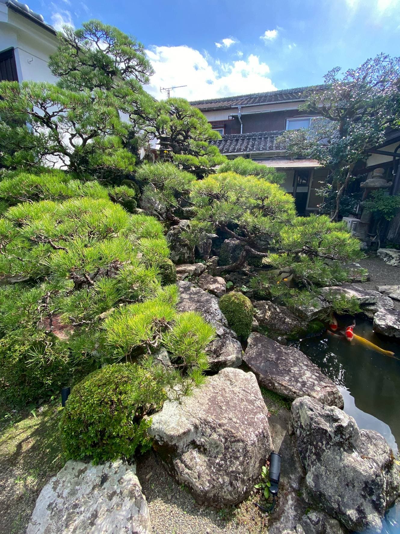 リニューアル後の美しい個人邸の庭園。